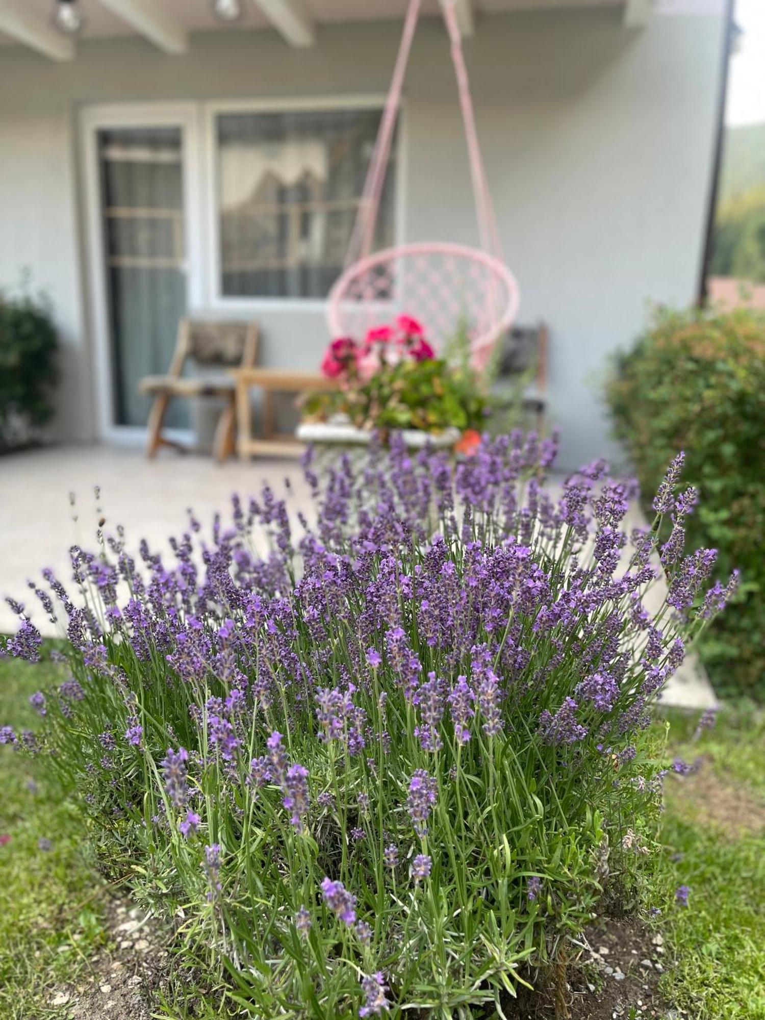 Anelisse Maison d'hôtes 2*